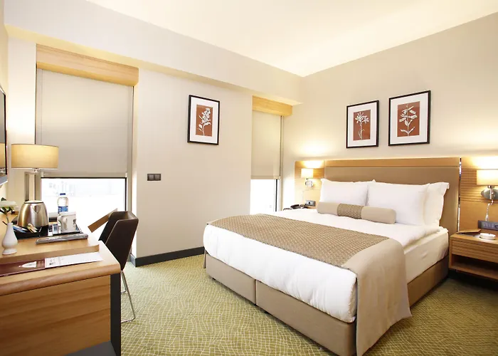 Mia Hotel 4*